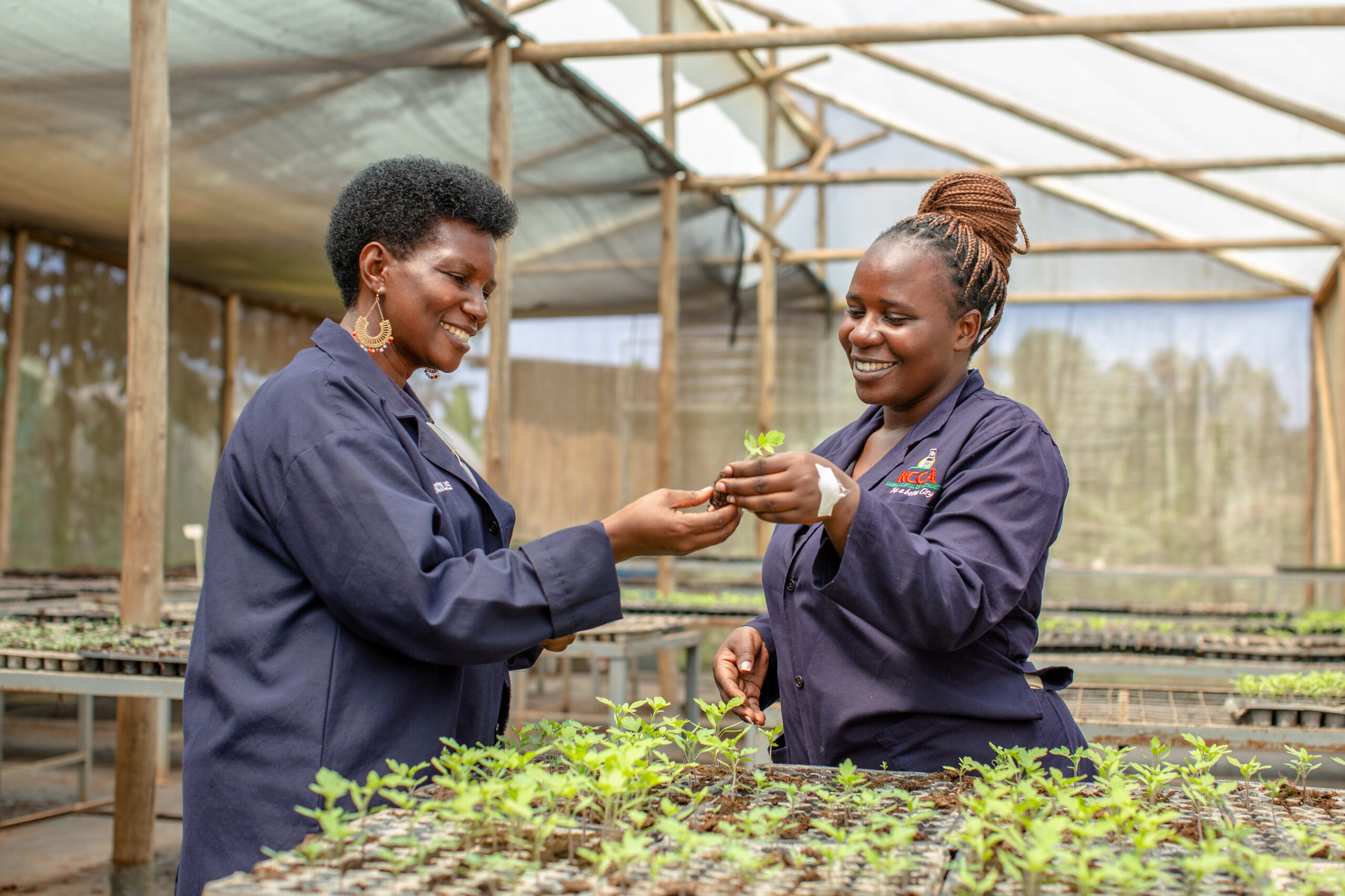 Mushroom Demonstration Farm