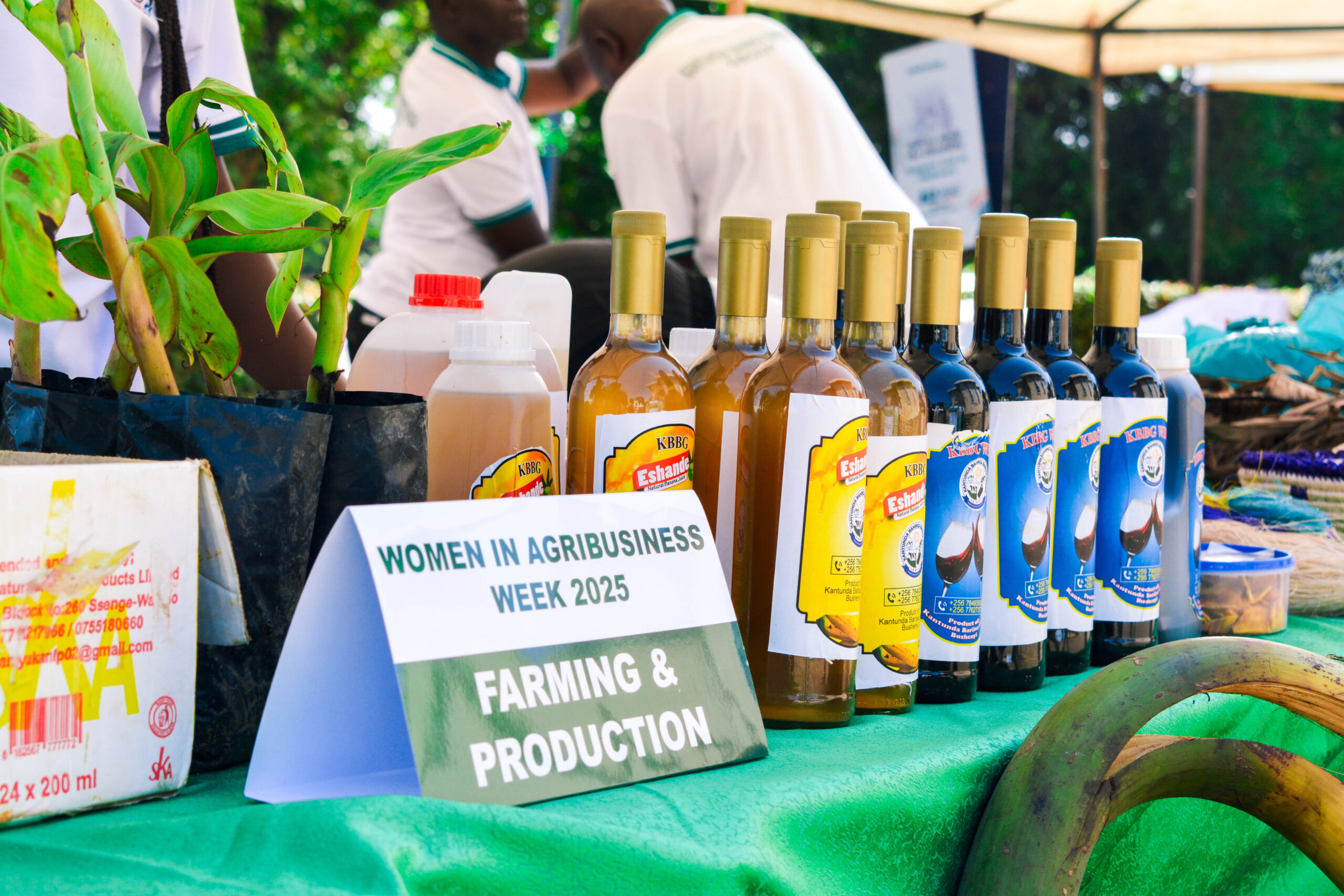 Farming & Production